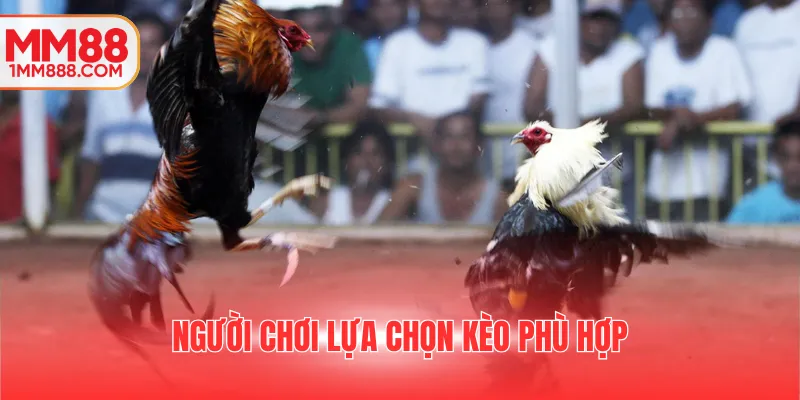 Người chơi lựa chọn kèo phù hợp